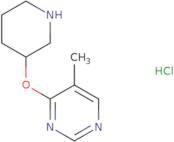 5-Methyl-4-(piperidin-3-yloxy)pyrimidine hydrochloride