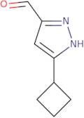 5-Cyclobutyl-1H-pyrazole-3-carbaldehyde