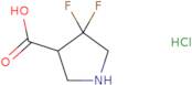 4,4-difluoropyrrolidine-3-carboxylic acid hydrochloride