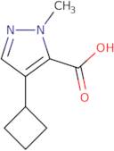 4-Cyclobutyl-1-methyl-1H-pyrazole-5-carboxylic acid