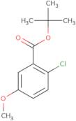 tert-Butyl 2-chloro-5-methoxybenzoate