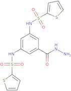 N-[3-(Hydrazinecarbonyl)-5-(thiophene-2-sulfonamido)phenyl]thiophene-2-sulfonamide