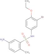 5-Amino-N-(3-bromo-4-ethoxyphenyl)-2-methylbenzene-1-sulfonamide