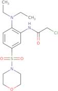 2-Chloro-N-[2-(diethylamino)-5-(morpholine-4-sulfonyl)phenyl]acetamide