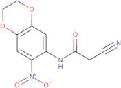 2-Cyano-N-(7-nitro-2,3-dihydro-1,4-benzodioxin-6-yl)acetamide