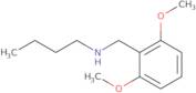 Butyl[(2,6-dimethoxyphenyl)methyl]amine