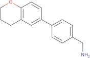 [4-(3,4-Dihydro-2H-1-benzopyran-6-yl)phenyl]methanamine