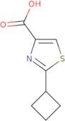 2-Cyclobutylthiazole-4-carboxylic acid