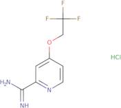 4-(2,2,2-Trifluoroethoxy)picolinimidamide hydrochloride