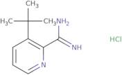 3-(tert-Butyl)picolinimidamide hydrochloride