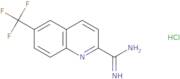 6-(Trifluoromethyl)quinoline-2-carboximidamide hydrochloride