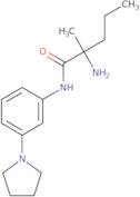 2-Amino-2-methyl-N-[3-(pyrrolidin-1-yl)phenyl]pentanamide