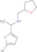 1-(5-Bromothiophen-2-yl)-N-(oxolan-2-ylmethyl)ethanamine