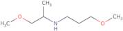 (1-Methoxypropan-2-yl)(3-methoxypropyl)amine