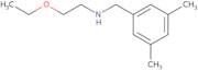 [(3,5-Dimethylphenyl)methyl](2-ethoxyethyl)amine