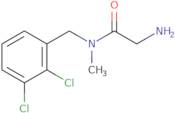 2-Amino-N-(2,3-dichloro-benzyl)-N-methyl-acetamide