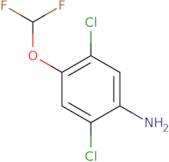 2,5-Dichloro-4-(difluoromethoxy)aniline