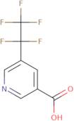 5-(1,1,2,2,2-Pentafluoroethyl)pyridine-3-carboxylic acid