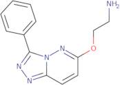 {2-[(3-Phenyl[1,2,4]triazolo[4,3-b]pyridazin-6-yl)oxy]ethyl}amine