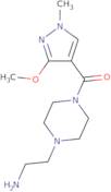 (2-{4-[(3-Methoxy-1-methyl-1H-pyrazol-4-yl)carbonyl]piperazin-1-yl}ethyl)amine