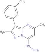 7-Hydrazino-2,5-dimethyl-3-(3-methylphenyl)pyrazolo[1,5-a]pyrimidine