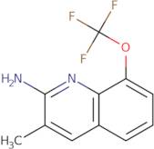 2-Amino-3-methyl-8-trifluoromethoxyquinoline