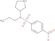 4-Nitro-N-propyl-N-pyrrolidin-3-ylbenzenesulfonamide