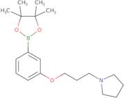 1-(3-(3-(4,4,5,5-Tetramethyl-1,3,2-dioxaborolan-2-yl)phenoxy)propyl)pyrrolidine