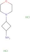 3-(Morpholin-4-yl)cyclobutan-1-amine dihydrochloride