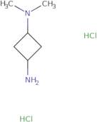 N1,N1-Dimethylcyclobutane-1,3-diamine dihydrochloride