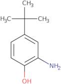 2-Amino-4-t-butylphenol