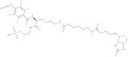 2-[N2-(4-Azido-2,3,5,6-tetrafluorobenzoyl)-N6-(6-biotinamidocaproyl)-L-lysinyl]ethyl Methanethiosu…