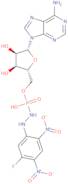 [(2R,3S,4R,5R)-5-(6-Aminopurin-9-Yl)-3,4-Dihydroxyoxolan-2-Yl]Methoxy-N-[(5-Fluoro-2,4-Dinitrophen…