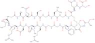 Atriopeptin I (rat) H-Ser-Ser-Cys-Phe-Gly-Gly-Arg-Ile-Asp-Arg-Ile-Gly-Ala-Gln-Ser-Gly-Leu-Gly-Cys-Asn-Ser-OH (Disulfide bond)