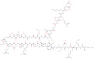 Atrial Natriuretic Factor (1-29) (chicken) H-Met-Met-Arg-Asp-Ser-Gly-Cys-Phe-Gly-Arg-Arg-Ile-Asp-Arg-Ile-Gly-Ser-Leu-Ser-Gly-Met-Gly -Cys-Asn-Gly-Ser-Arg-Lys-Asn-OH (Disulfide bond)