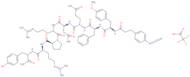(3-(4-Azidophenyl)propionyl1,D-Tyr(Me)2,Arg6,Arg8,Tyr-NH29)-Vasopressin trifluoroacetate salt