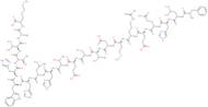 Amyloid beta/A4 Protein Precursor770 (135-155)