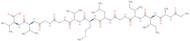 Amyloid beta-Protein (29-40)