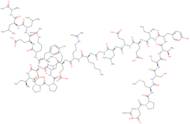 Acetyl-Calpastatin (184-210) (human)