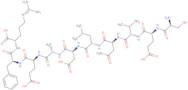(Asn670,Leu671)-Amyloid b/A4 Protein Precursor770 (667-676) trifluoroacetate salt