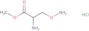 ACTH (1-39) (mouse, rat) trifluoroacetate salt