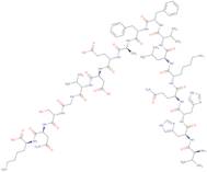 Amyloid beta-Protein (12-28)