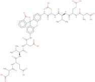 (H-Asp-Glu-Val-Asp)2-Rhodamine 110 trifluoroacetate salt