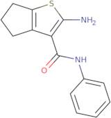 2-Amino-N-phenyl-5,6-dihydro-4H-cyclopenta[b]thiophene-3-carboxamide