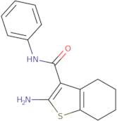 2-Amino-N-phenyl-4,5,6,7-tetrahydro-1-benzothiophene-3-carboxamide