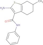 2-Amino-6-methyl-N-phenyl-4,5,6,7-tetrahydro-1-benzothiophene-3-carboxamide