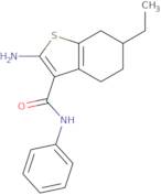 2-Amino-6-ethyl-N-phenyl-4,5,6,7-tetrahydro-1-benzothiophene-3-carboxamide