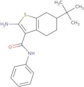 2-Amino-6-tert-butyl-N-phenyl-4,5,6,7-tetrahydro-1-benzothiophene-3-carboxamide