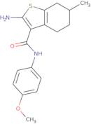 2-Amino-N-(4-methoxyphenyl)-6-methyl-4,5,6,7-tetrahydro-1-benzothiophene-3-carboxamide