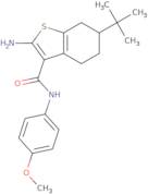 2-Amino-6-tert-butyl-N-(4-methoxyphenyl)-4,5,6,7-tetrahydro-1-benzothiophene-3-carboxamide